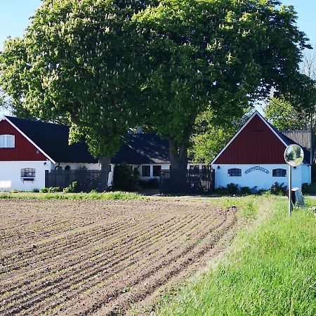 Knappagarden Glemminge Kültér fotó