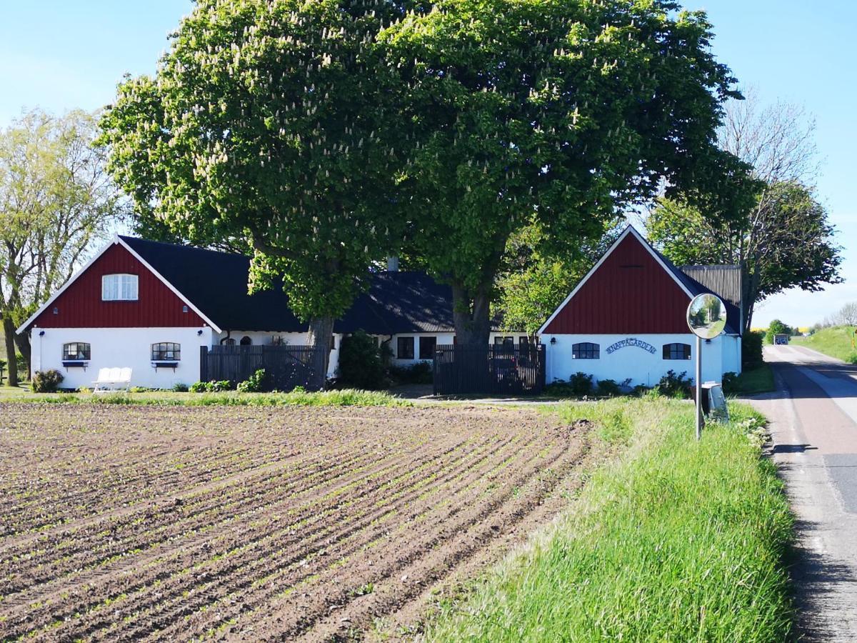Knappagarden Glemminge Kültér fotó